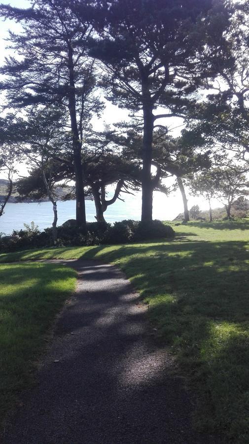 The Dell Dublin Bed and Breakfast Dun Laoghaire Buitenkant foto